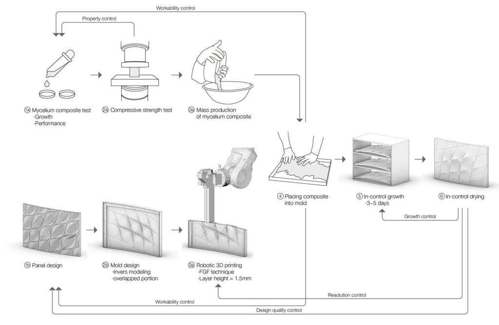 Drawing of the process of making mycelium panels.