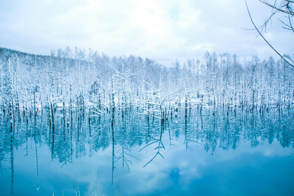 Shirogane Blue Pond