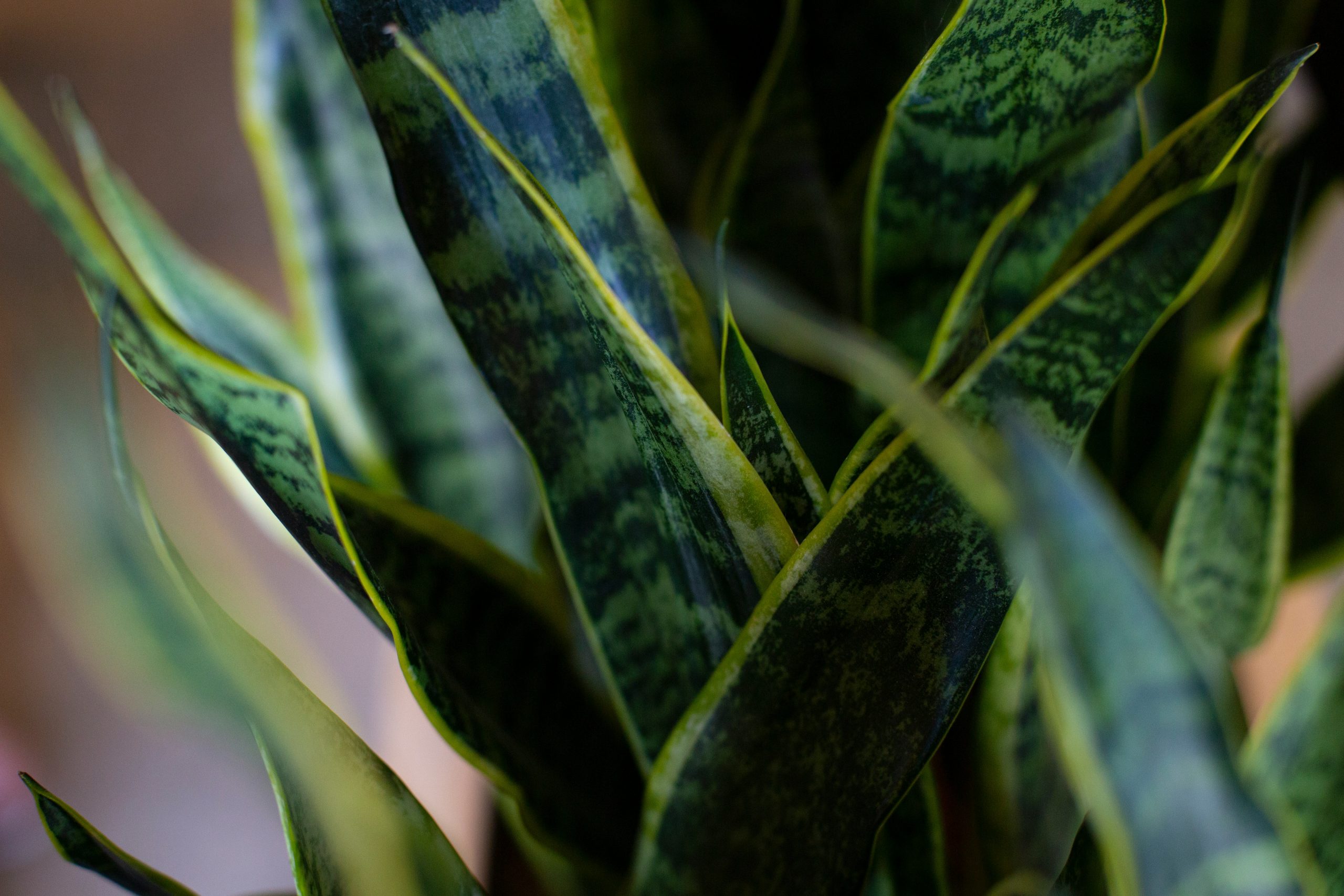 Photo by Drew Beamer on Unsplash.